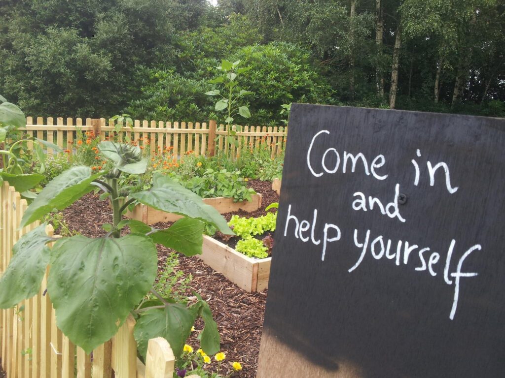 A sign saying "Come in and help yourself", the allotment behind