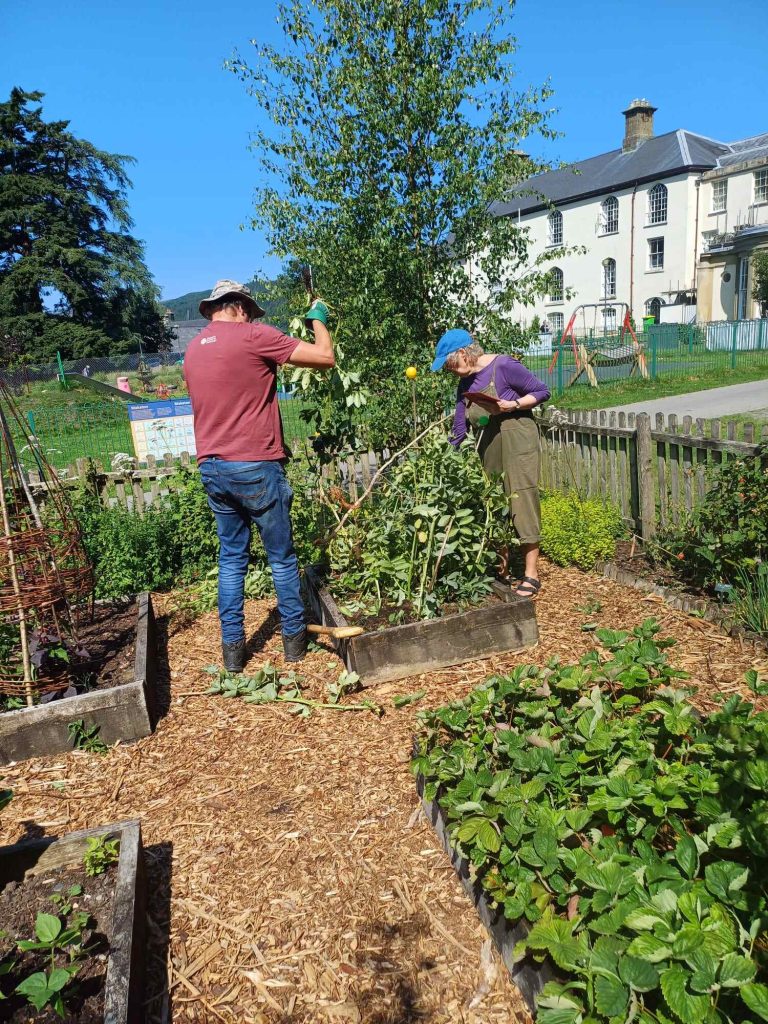 2 people working on a raised bed