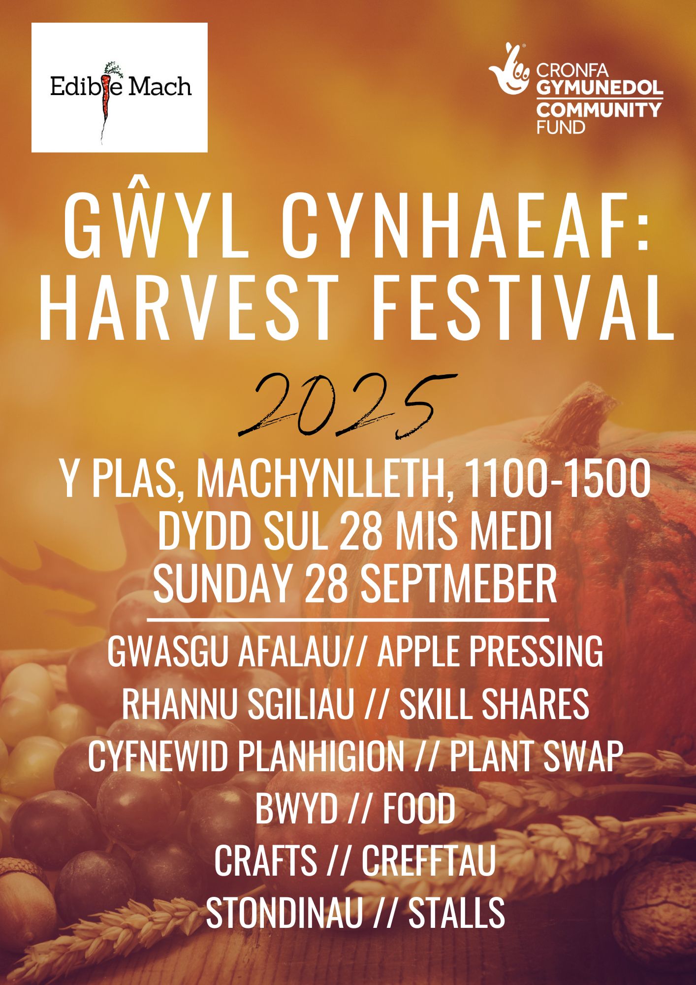 Gŵyl Cynhaeaf 2025 Harvest Festival