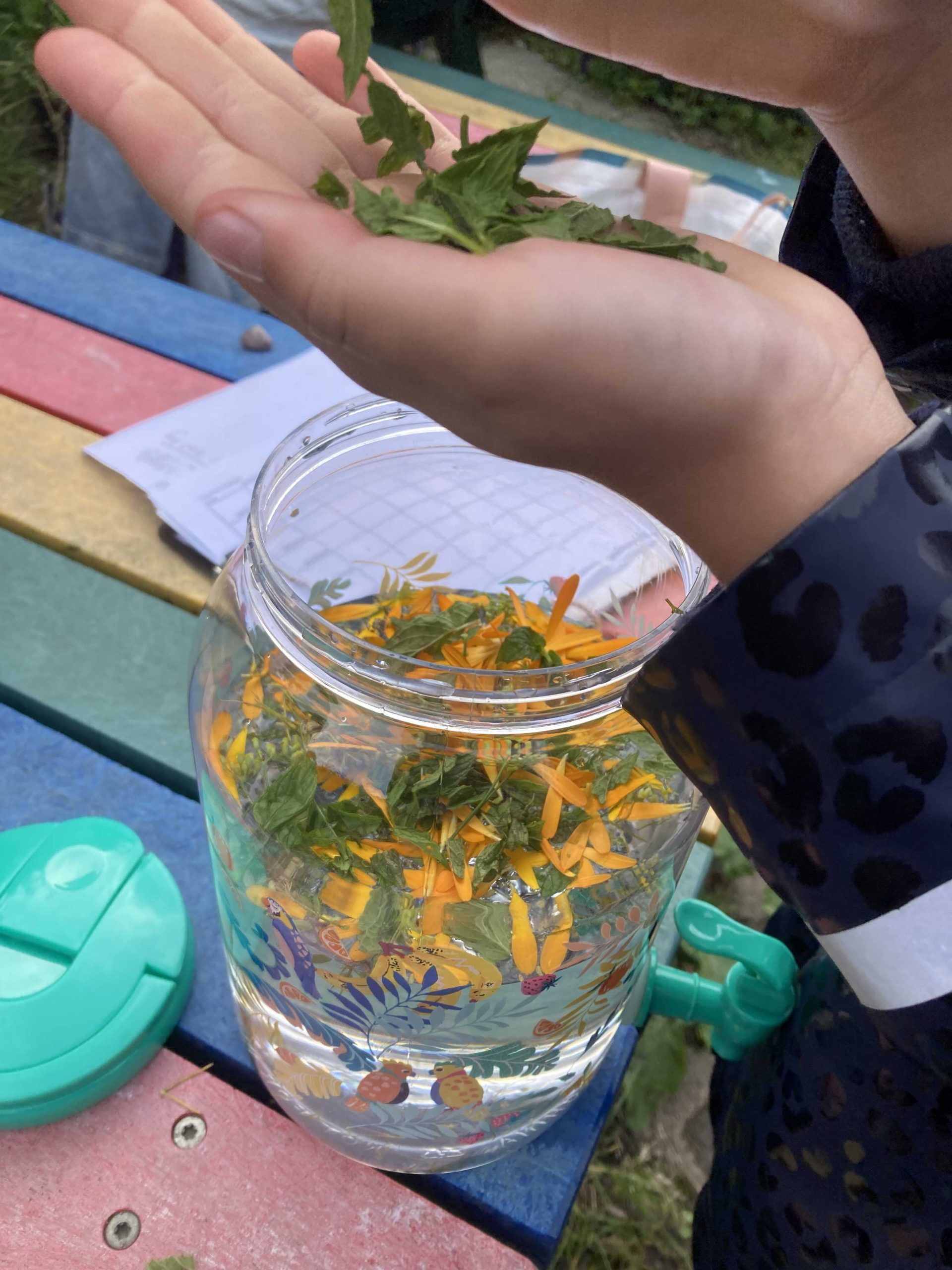 A hand holding some leaves and a jar behind with yellow flowers