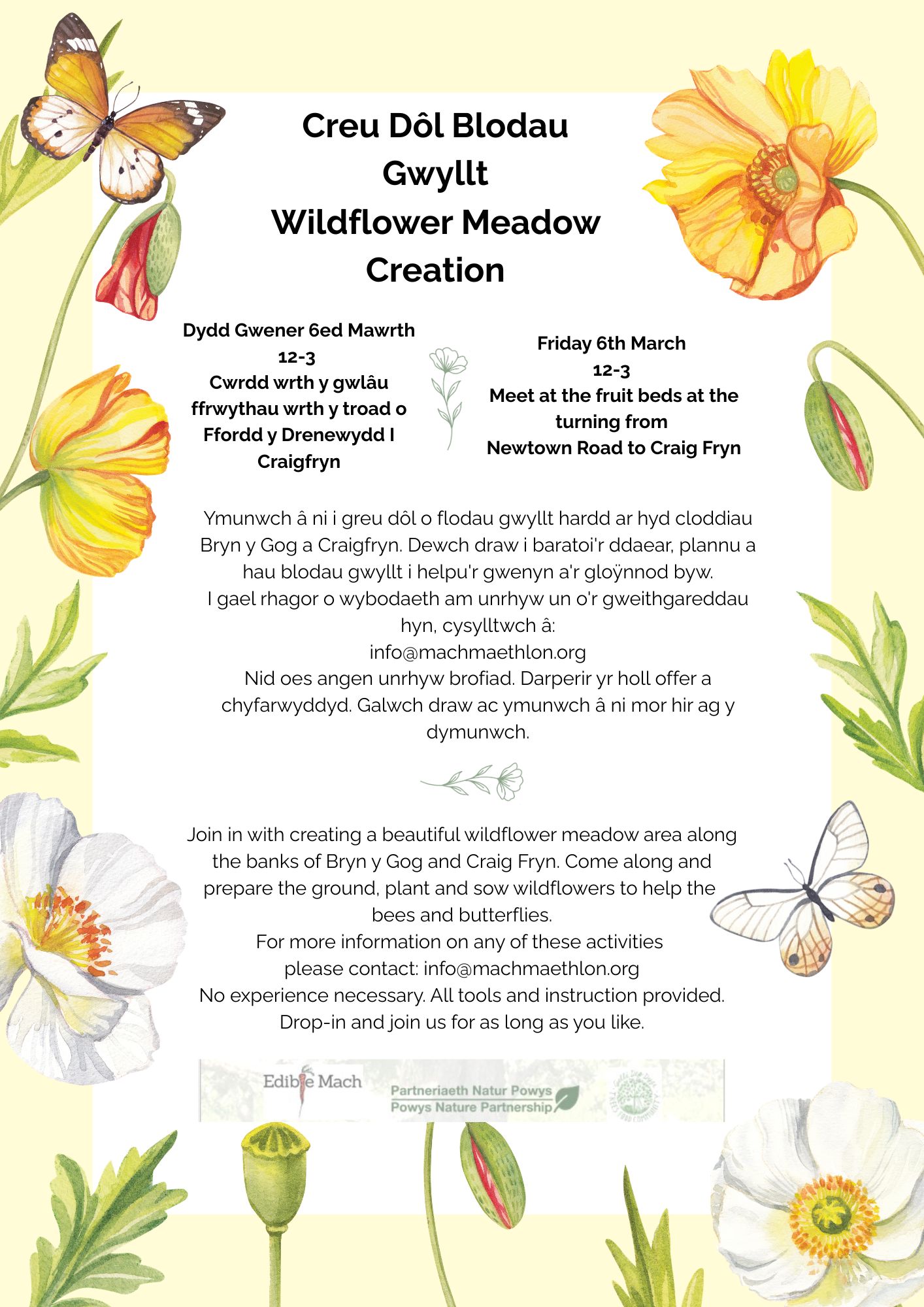 Wildflower Meadow Creation