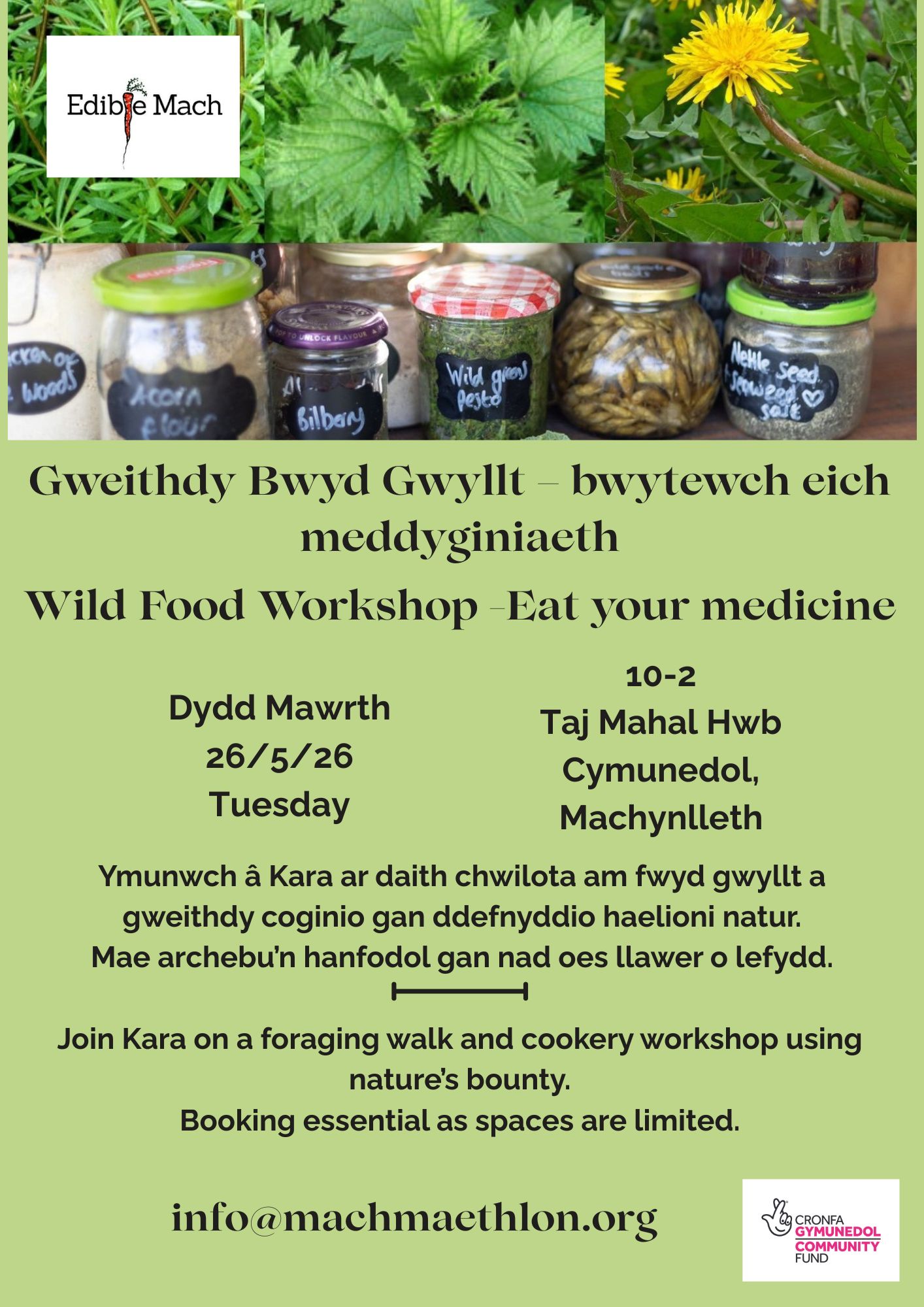 Eat Your Medicine – Wild Food Workshop